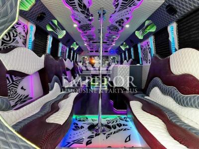 party bus that fits 40