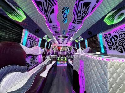 party bus for 40 passengers