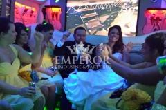chicago-party-bus-wedding-2
