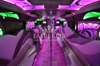30 seater party bus