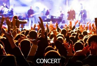 Concert limo services